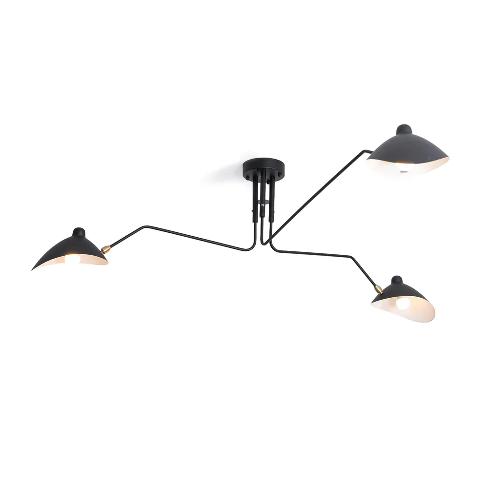 Ceiling Light