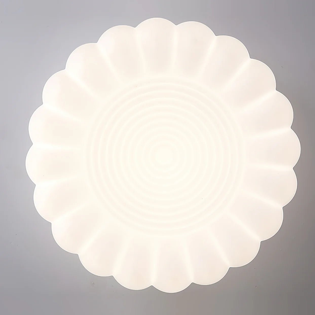 Alta Ceiling Lamp