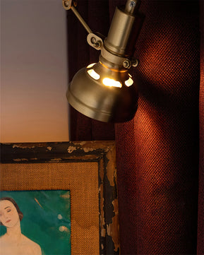 Kane Swing Arm Wall Lamp