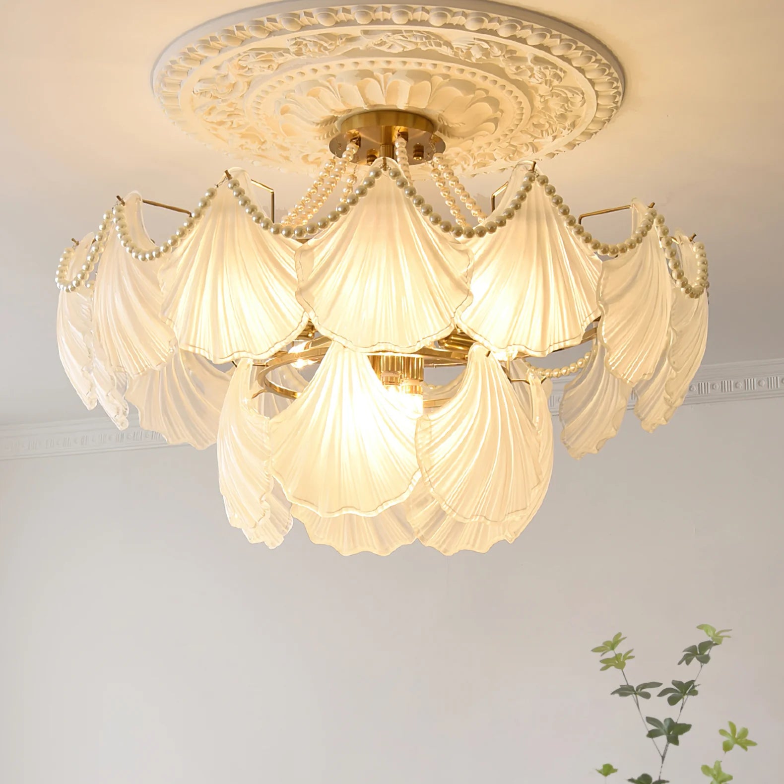 Scallop Shell Chandelier