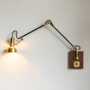 Kane Swing Arm Wall Lamp