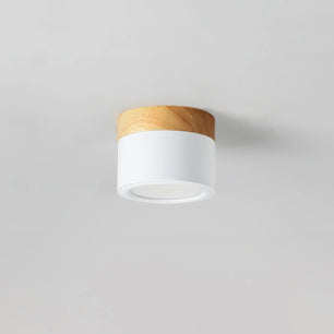 Plafonnier Spot Ceiling Lamp