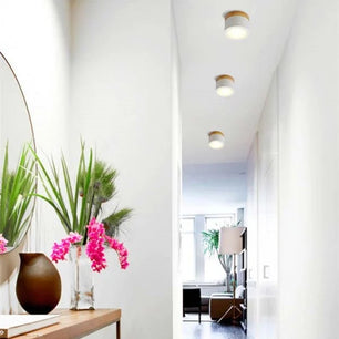 Nordic Cylindrical LED Ceiling Light S43