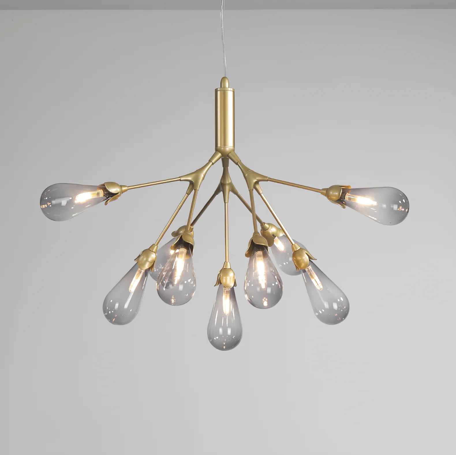 Aiwen Chandelier