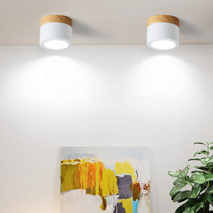 Plafonnier Spot Ceiling Lamp