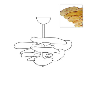Lotus Leaf Murano Chandelier