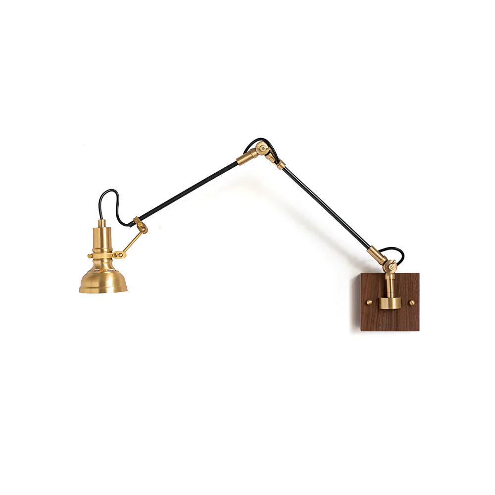 Kane Swing Arm Wall Lamp