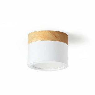 Plafonnier Spot Ceiling Lamp