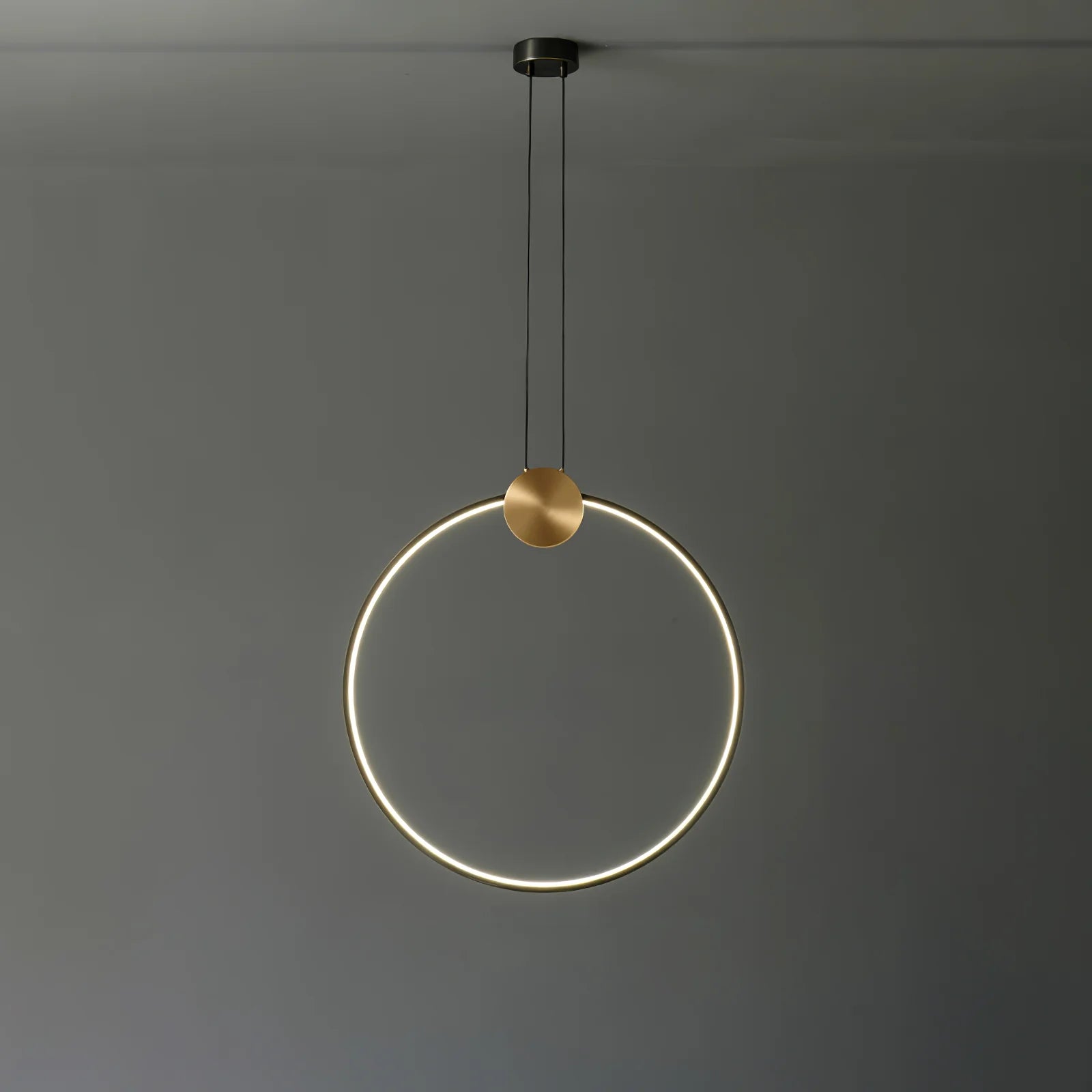 Ring Hanging Pendant Light