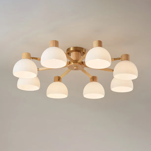 Flared Ceiling Light