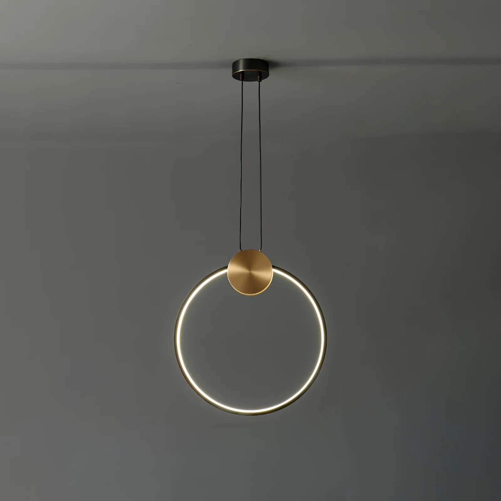 Ring Hanging Pendant Light