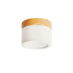 Plafonnier Spot Ceiling Lamp