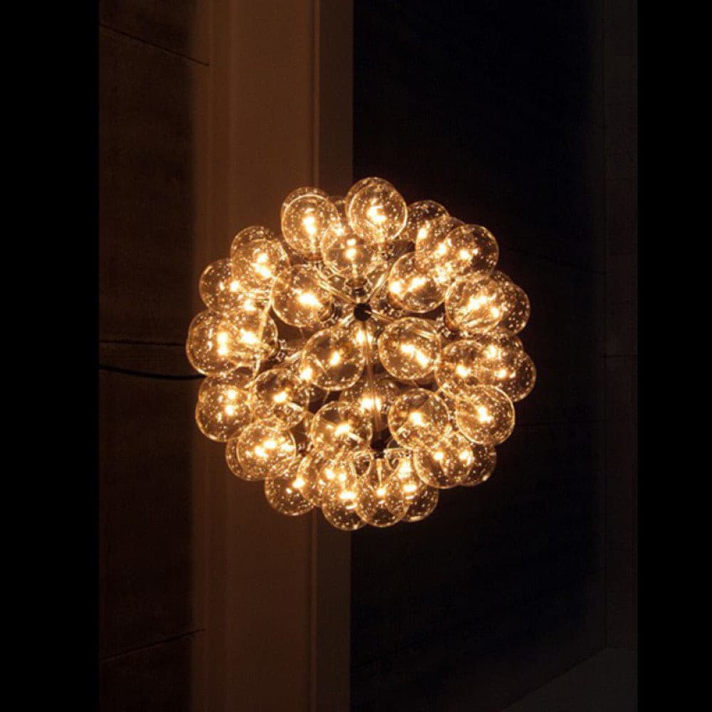 Taraxacum Pendant Light