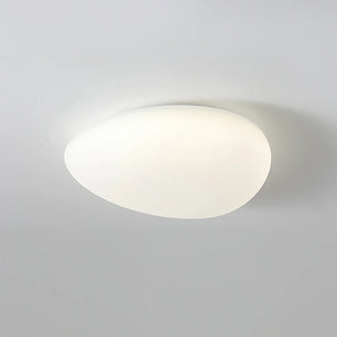 Toan LED Ceiling Lamp