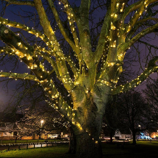 Outdoor LED Fairy Lights, Connectable, Dark Green Cable