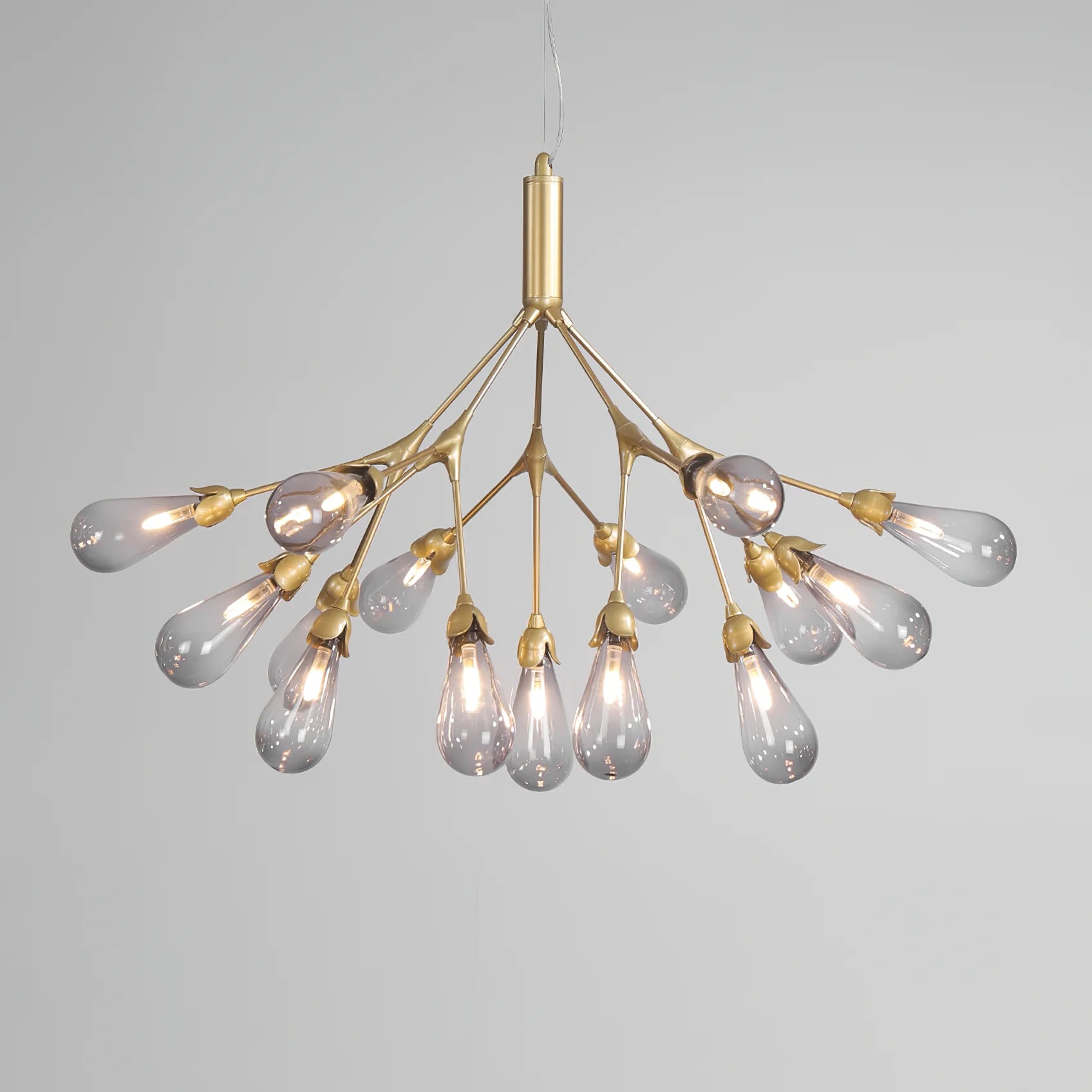 Aiwen Chandelier