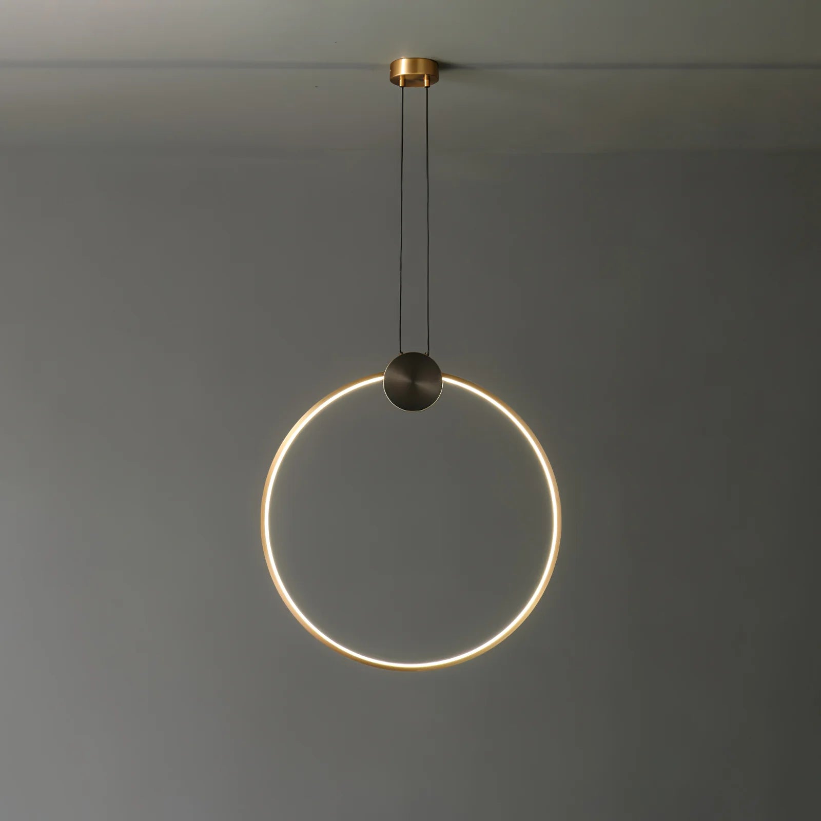 Ring Hanging Pendant Light