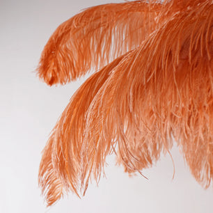 Ostrich Feather Brass Floor Lamp