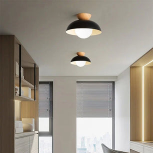 Minimalist Nordic Semi Ceiling Light S81