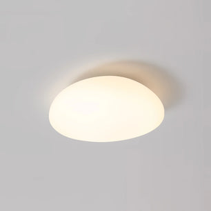 Toan LED Ceiling Lamp