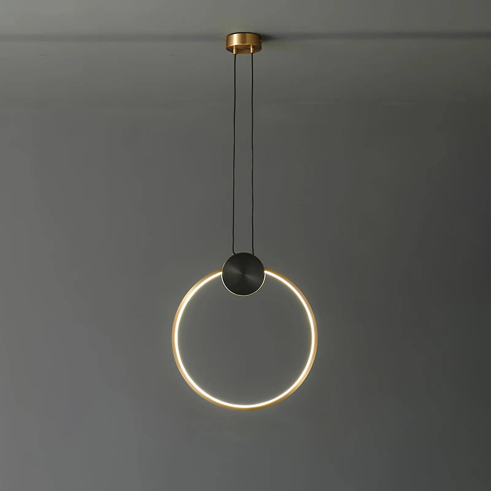 Ring Hanging Pendant Light