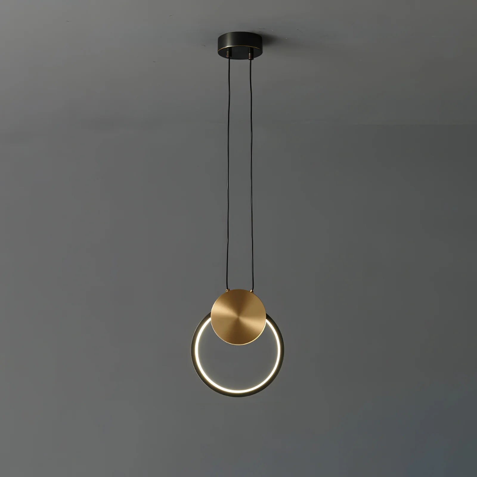 Ring Hanging Pendant Light