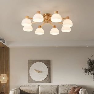 Flared Ceiling Light