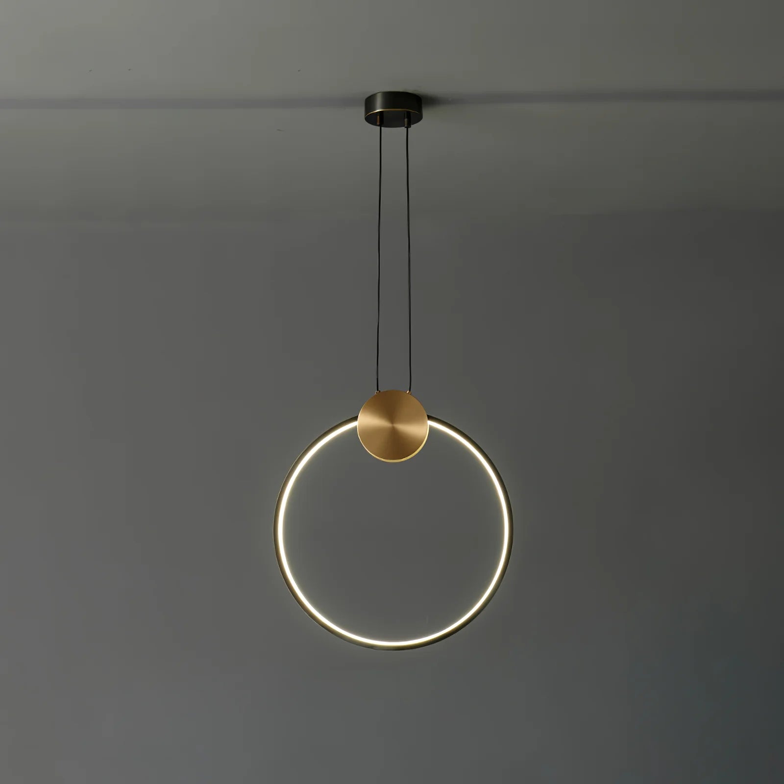 Ring Hanging Pendant Light