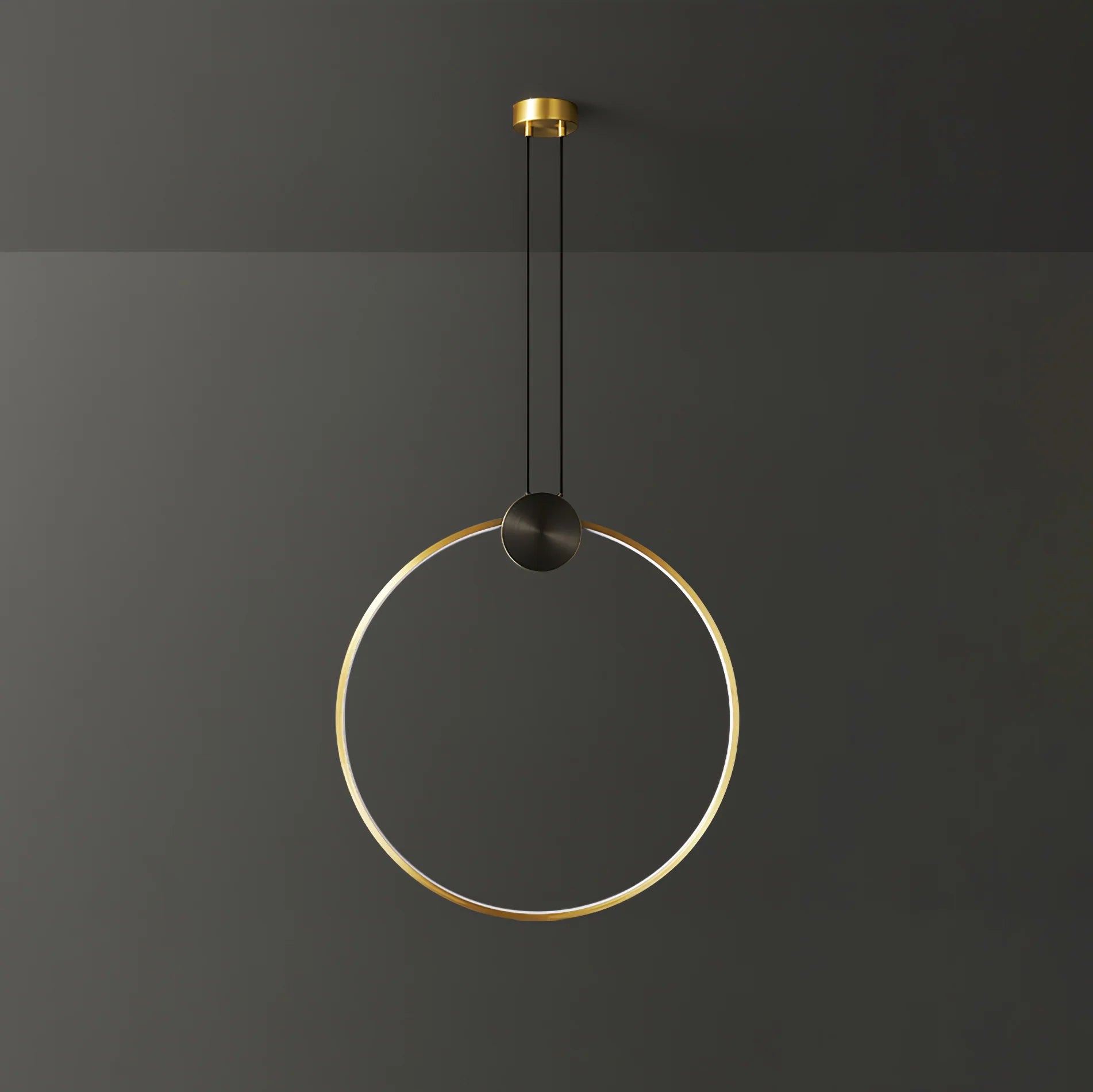 Ring Hanging Pendant Light