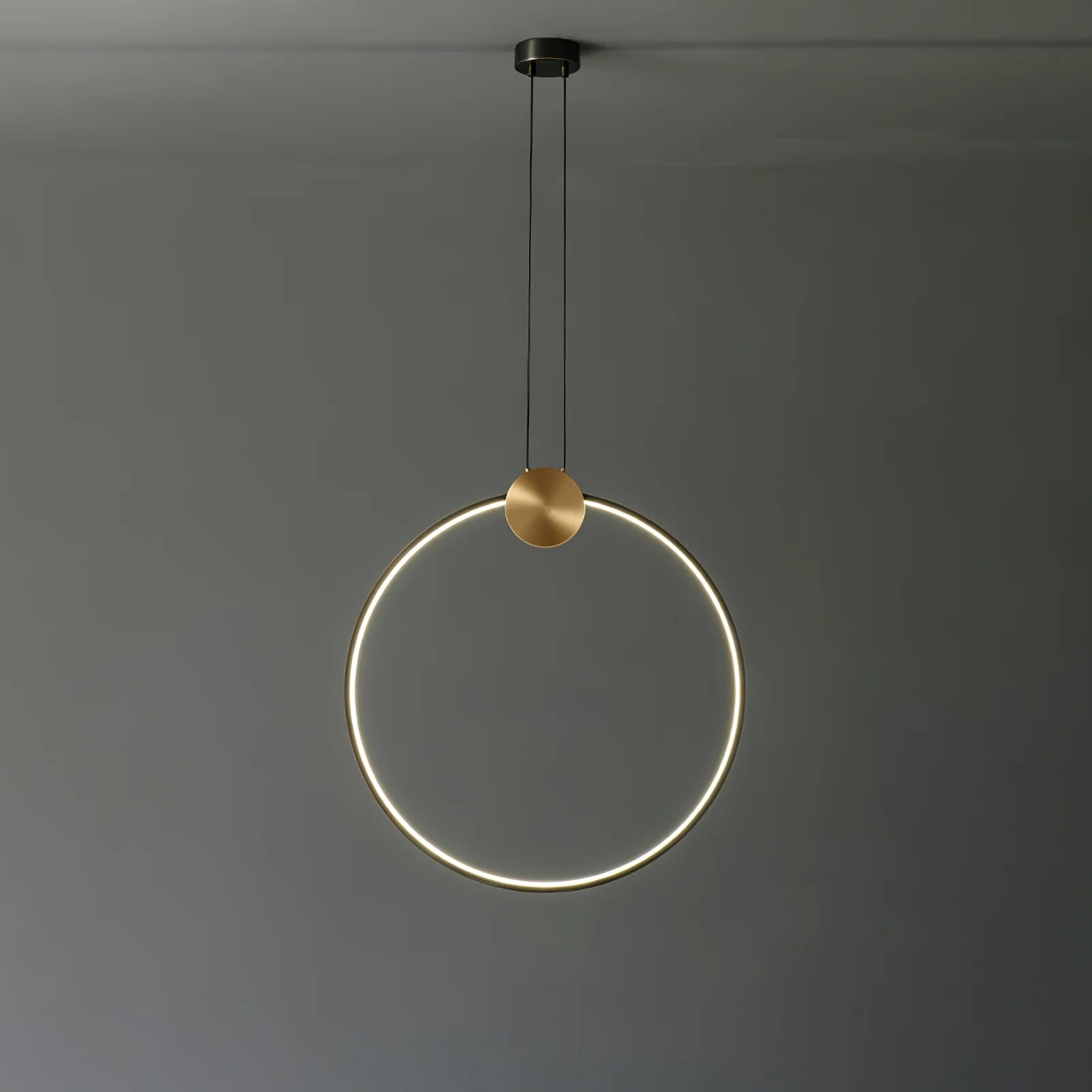 Ring Hanging Pendant Light