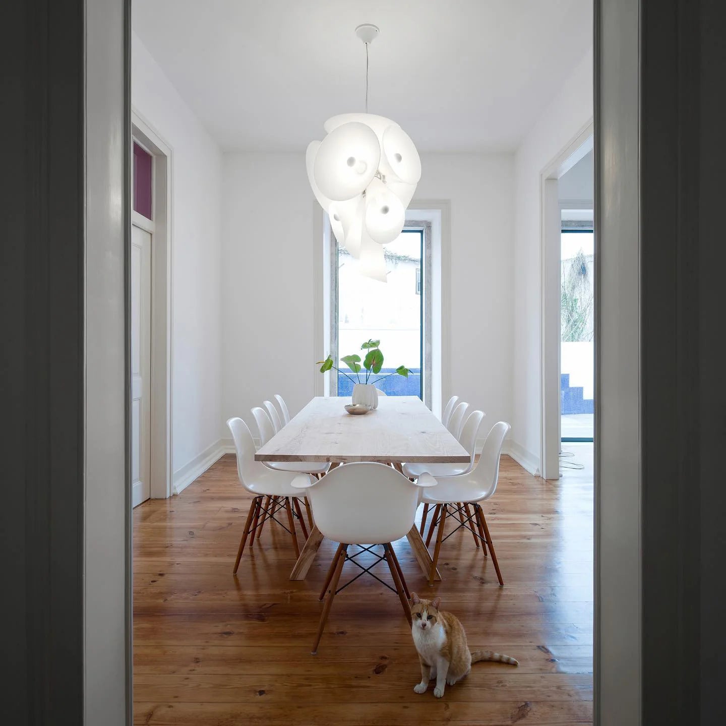 Nebula Pendant Light