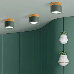 Plafonnier Spot Ceiling Lamp