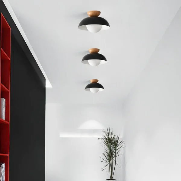 Minimalist Nordic Semi Ceiling Light S81