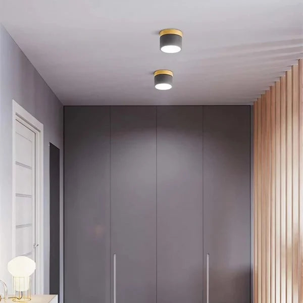 Nordic Cylindrical LED Ceiling Light S43