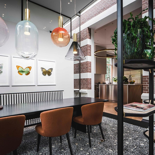 Phenomena Pendant Light