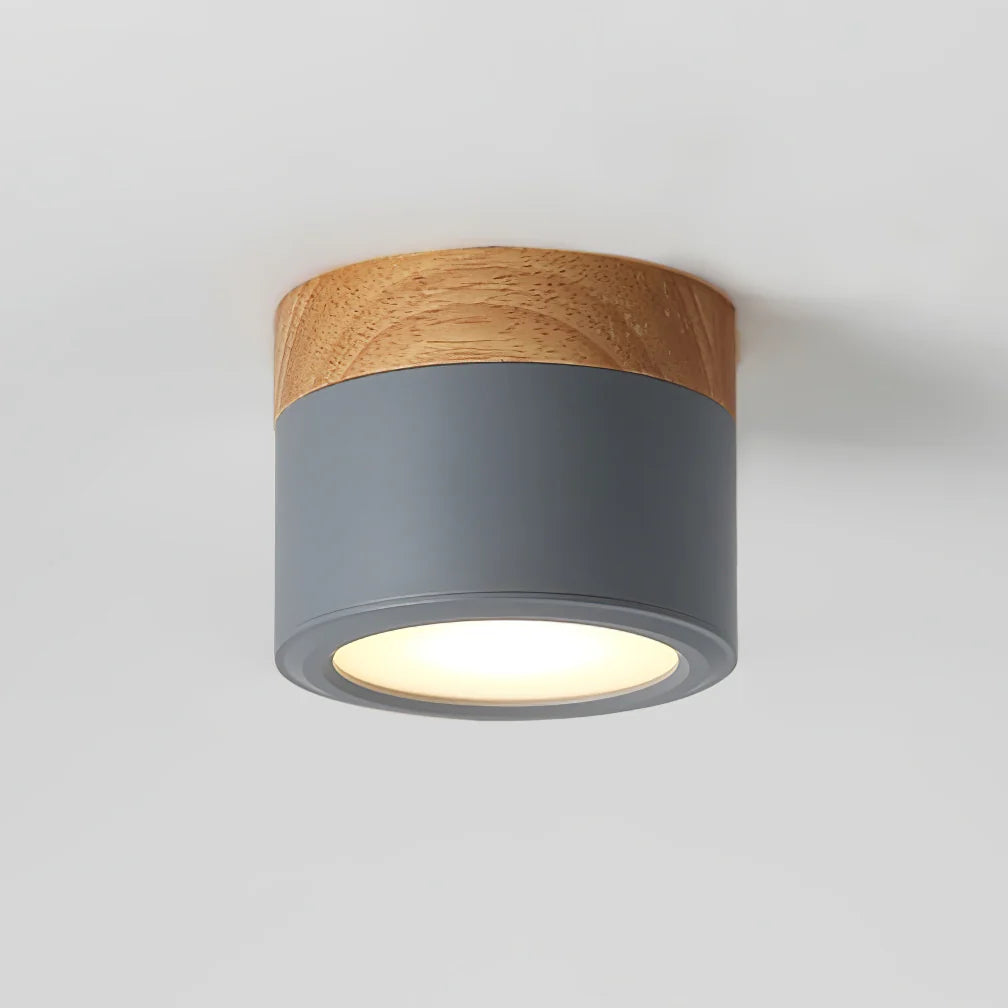 Plafonnier Spot Ceiling Lamp